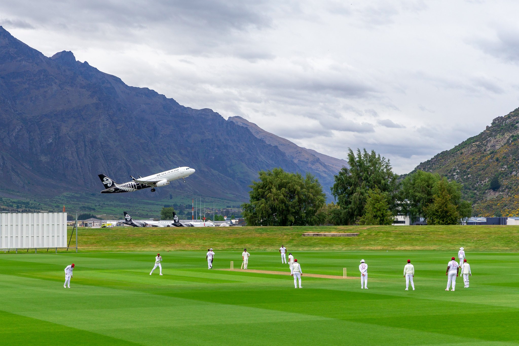Cricket