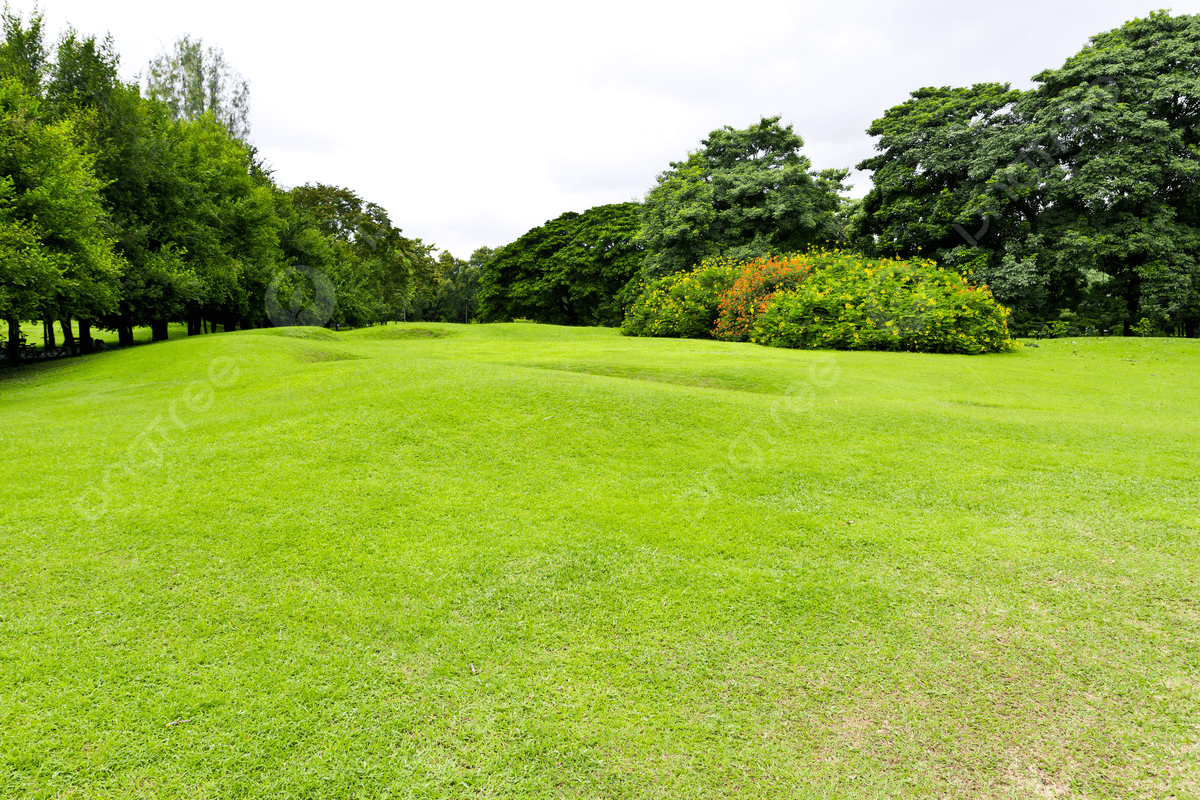 Ground Image